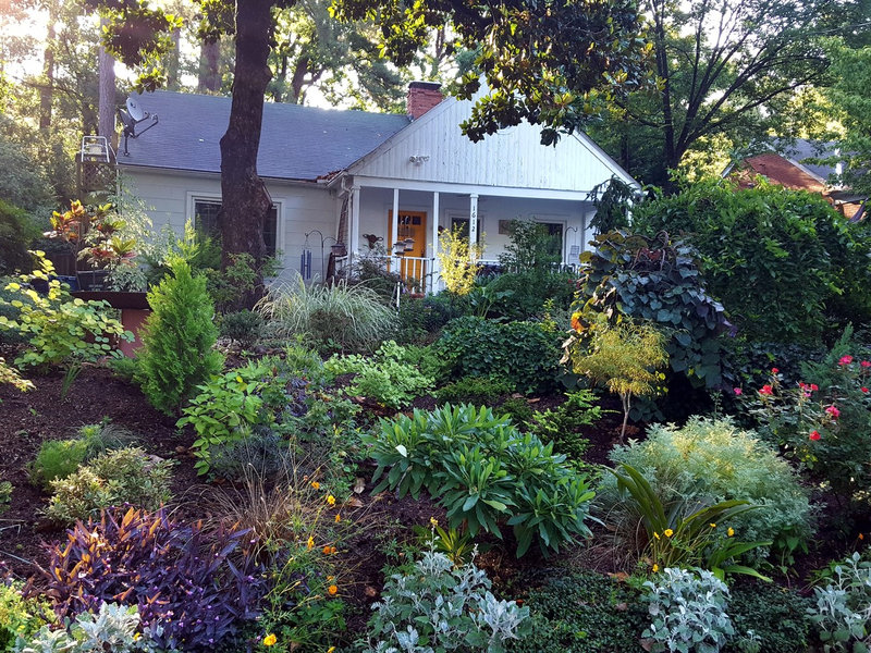 Durham NC home with layered native garden