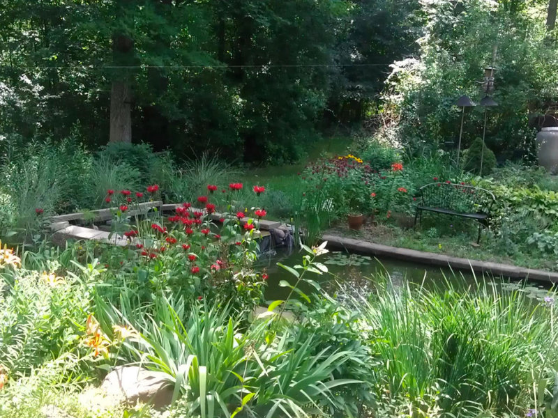 Water feature from a Land Stewards project